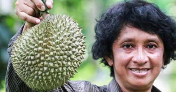 bọc quả trong luói thép chò chín, chủ vuòn sáp "om" hon 20 cay vàng hinh anh 4