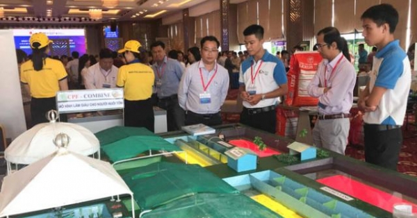 go cac “rao can” cho tom viet day manh xuat khau vao hoa ky hinh anh 2