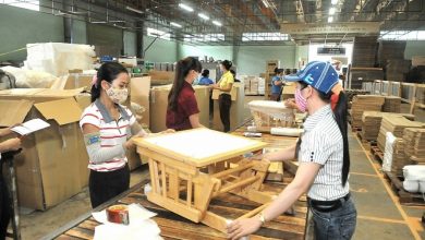 X4248 Anh T5.jpg,qrt=20201006095547.pagespeed.ic.sxwgr7yjzk