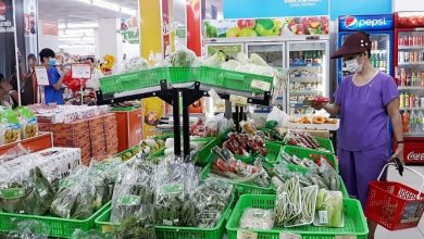 2244 Aebdfb798c337b6d2222