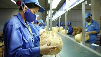 Kich Ban Nao Cho Thi Truong Lao Dong Tp Hcm Nua Cuoi Nam 2021