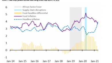 Lam Phat Gia Thuc Pham Tieu Dung Se Tang Vao Cuoi Nam 2021