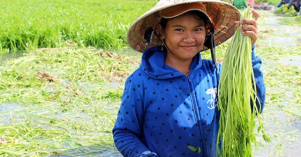 tram nguoi dam nuoc o lang trong rau can lon nhat dong nai hinh anh 4