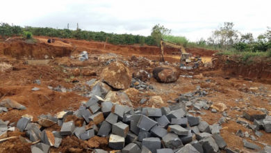 Việt Nam xuất khẩu đất hiếm cạnh tranh với Trung Quốc