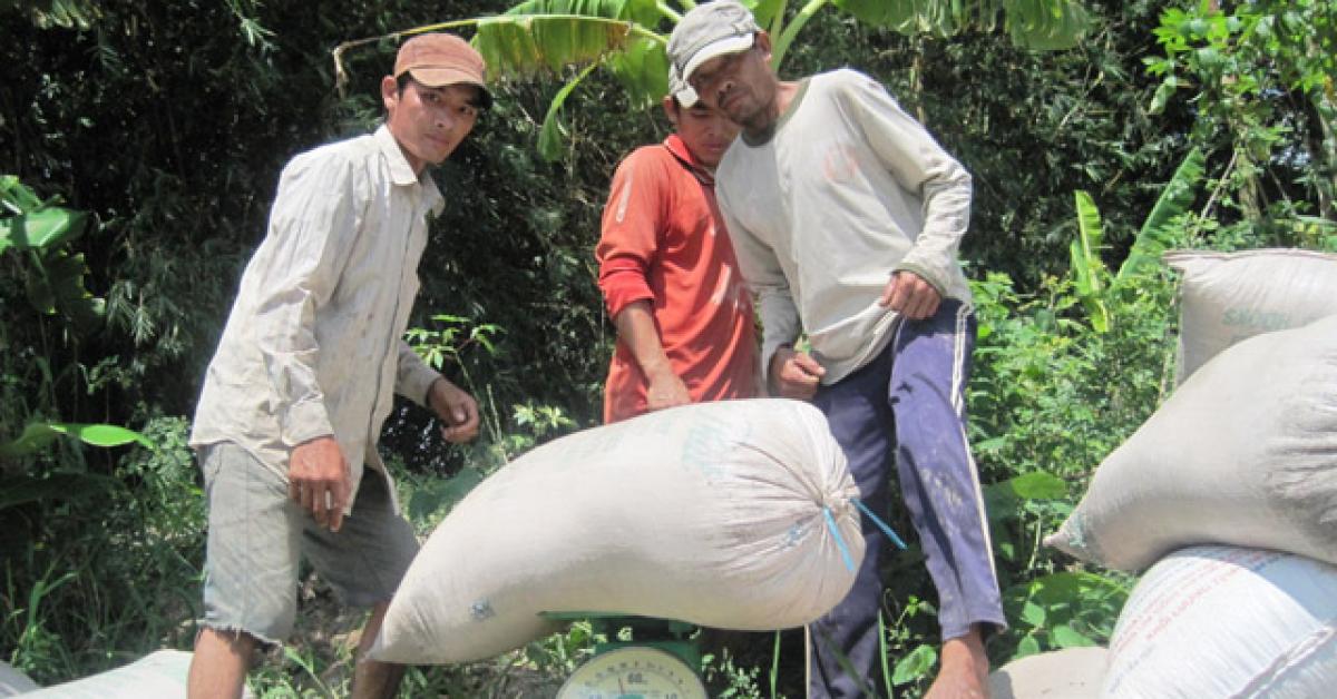 xuat khau gao sang trung quoc, 2 thi truong lon giam 1,1 trieu tan hinh anh 3