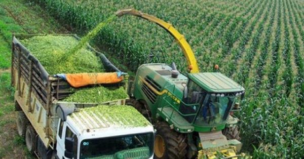 bat dong san nong nghiep: co hoi cho thi truong con dang bo ngo hinh anh 3