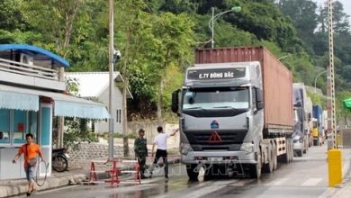 Vna Potal Lang Son Khong De Xay Ra Tinh Trang Un U Hang Hoa Tai Cua Khau Quoc Te Huu Nghi Stand 20220218124329 496c8