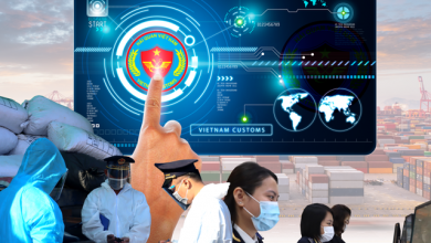 Haiquan1jpg 1644487731301779277383