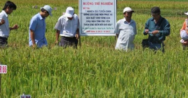 tao giong lua, vit, tom, ca chiu man de 