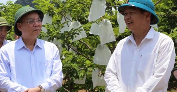 lang son: ung dung khoa hoc va cong nghe phat trien san pham chu luc dia phuong hinh anh 1