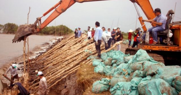 Cà Mau “gồng mình” ứng phó sạt lở ven biển hình ảnh 2 ca mau “gong minh” ung pho sat lo ven bien hinh anh 2