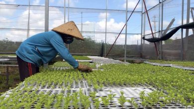 Ảnh Chụp Màn Hình 2021 12 15 Lúc 17.27.30