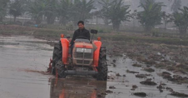 ha noi chuyen doi hieu qua 40.000ha dat nong nghiep hinh anh 1