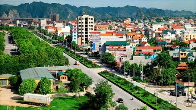 Khu Do Thi Tp Ninh Binh 1606290821495472540802 59 0 699 1024 Crop 16062908481092113886922