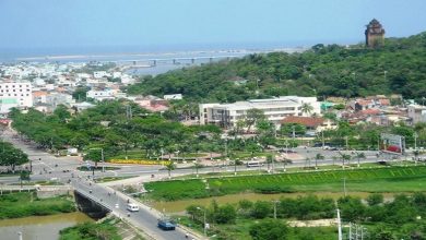 Phu Yen Tien Hanh Dau Gia 17 Du An Lo Dat De Lua Chon Nha Dau Tu