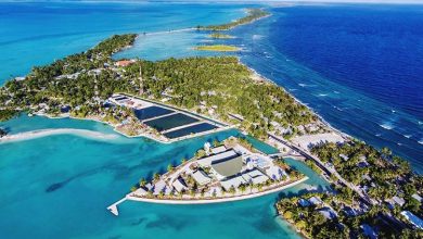 186382580 758589704806306 8755188511013034701 N