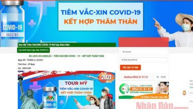 Tam Dung Tour Du Lich Tiem Vac Xin Tai My