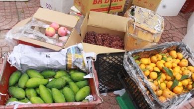 cuc-qltt-son-la-phat-hien-23-tan-hoa-qua-tuoi-khong-ro-nguon-goc-xuat-xu