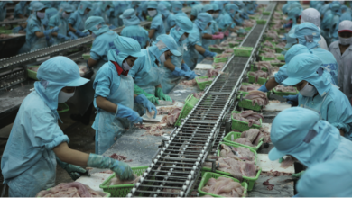 Hoat Dong Xuat Khau Thuy San 6 Thang Dau Nam Dang Co Nhung Dau Hieu Tich Cuc