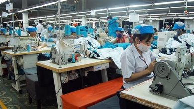 Evfta Cung Evipa Dai Lo Kinh Te Ket Noi Ao Va Viet Nam