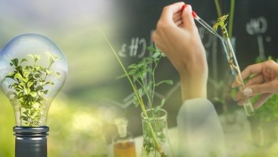 Hội Thảo Công Nghệ Môi Trường Nhật Bản Hướng Tới Thúc đẩy Trung Hòa Carbon