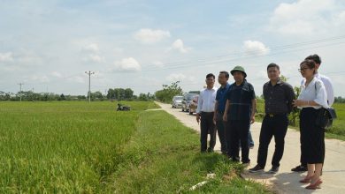 30 30 Xa Thuoc Huyen Chuong My Duoc Cong Nhan Dat Ntm