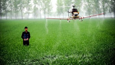 Ap Dung Khoa Hoc Cong Nghe Cai Thien Hieu Suat Trong Nong Nghiep