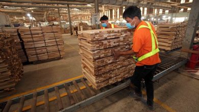 Bọ Nnptnt Truc Tiep Tham Gia Thao Go Kho Khan Cho Nganh Go