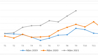 Ảnh Chụp Màn Hình 2021 10 25 Lúc 17.01.14