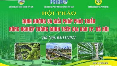 Giai Phap Phat Trien Nong Nghiep Thong Minh Gan Voi Tang Truong Ben Vung