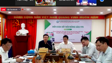 Ảnh Chụp Màn Hình 2021 11 06 Lúc 12.58.24