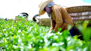 Ảnh Chụp Màn Hình 2021 11 08 Lúc 23.48.08