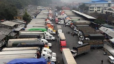 Xuat Khau Nong San Sang Trung Quoc Am Dam Do Yeu To Mua Vu