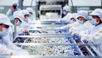 Nghi Quyet So 105 Nq Cp Don Bay Thuc Day Nong Lam Thuy San Phat Trien San Xuat