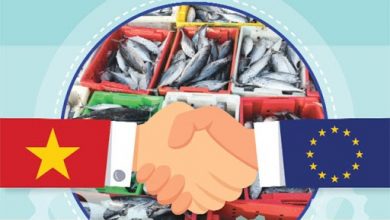 Evfta Và Ngành Thuỷ Sản