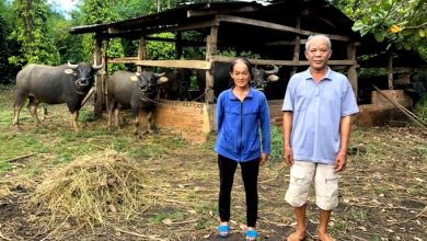 Tap Trung Ho Tro Phat Trien Kinh Te Cho Dong Bao Tinh Binh Phuoc 2