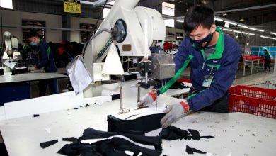 Thoi Han Dong Bao Hiem Xa Hoi Giam Muc Luong Huu Nguoi Lao Dong Co Anh Huong Gi