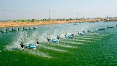 Maxresdefault Min 1 1030x579 1668 1565603337