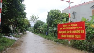 Resize Images5723063 2