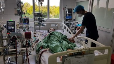 Z2968043769226 C56d264084fd694d1b5797b5c2e12172