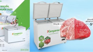 Huong Dan Khu Mui Kho Chiu Cua Tu Dong Thuc Pham Bang Cong Nghe Doc Dao