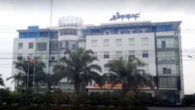 Soi Buc Tranh Tai Chinh Tai Kinh Bac City Kbc