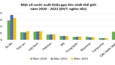 Ảnh Chụp Màn Hình 2022 01 10 Lúc 10.16.56