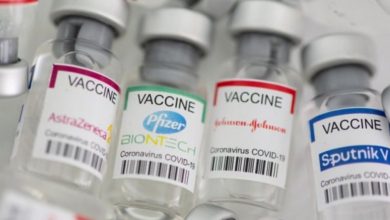 Eu Chia Re Vi Y Tuong Tu Bo Bang Sang Che Vac Xin