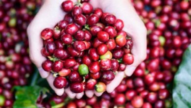 Ảnh Chụp Màn Hình 2021 12 03 Lúc 17.46.28