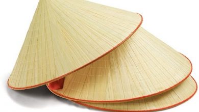 202681787 2961423994177112 7732474354388021156 N