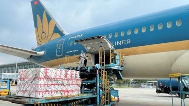 Hang Hang Khong Van Tai Hang Hoa Duoc Vietnam Airlines Xay Dung Trong Tam Dich