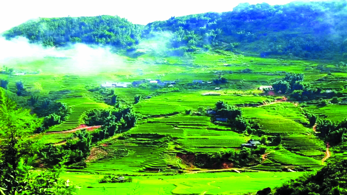 Ảnh minh họa. Nguồn: IT