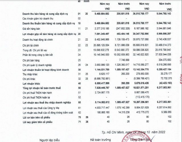 Các khoản doanh thu của DRH Holdings đều giảm