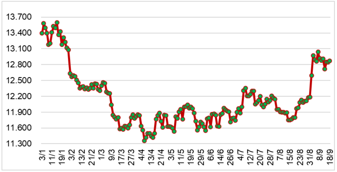 Diễn biến giá cao su RSS3 tại sàn SHFE từ đầu năm 2023 đến nay (ĐVT: NDT/tấn). Nguồn: Cục XNK 